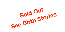 Sold Out
See Birth Stories